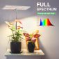 Dimmable Adjustable Full Spectrum Light for Indoor Plants - Spectrum