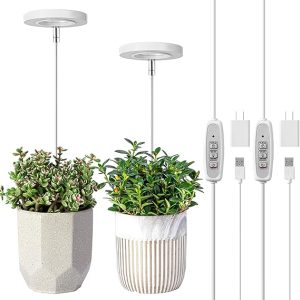 Indoor Plant Light with Adjustable Height and Auto Timer 1