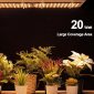 Indoor Ultra-Thin Full Spectrum LED Light For Plant Growth - Output