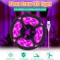 LED Grow Light Adjustable for Indoor Use 3