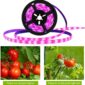 LED Grow Light Adjustable for Indoor Use 6