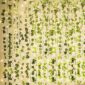 Premium Artificial Ivy Garland Greenery Accent 1